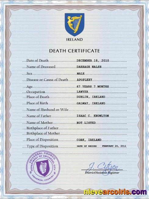 Ireland vital record death certificate